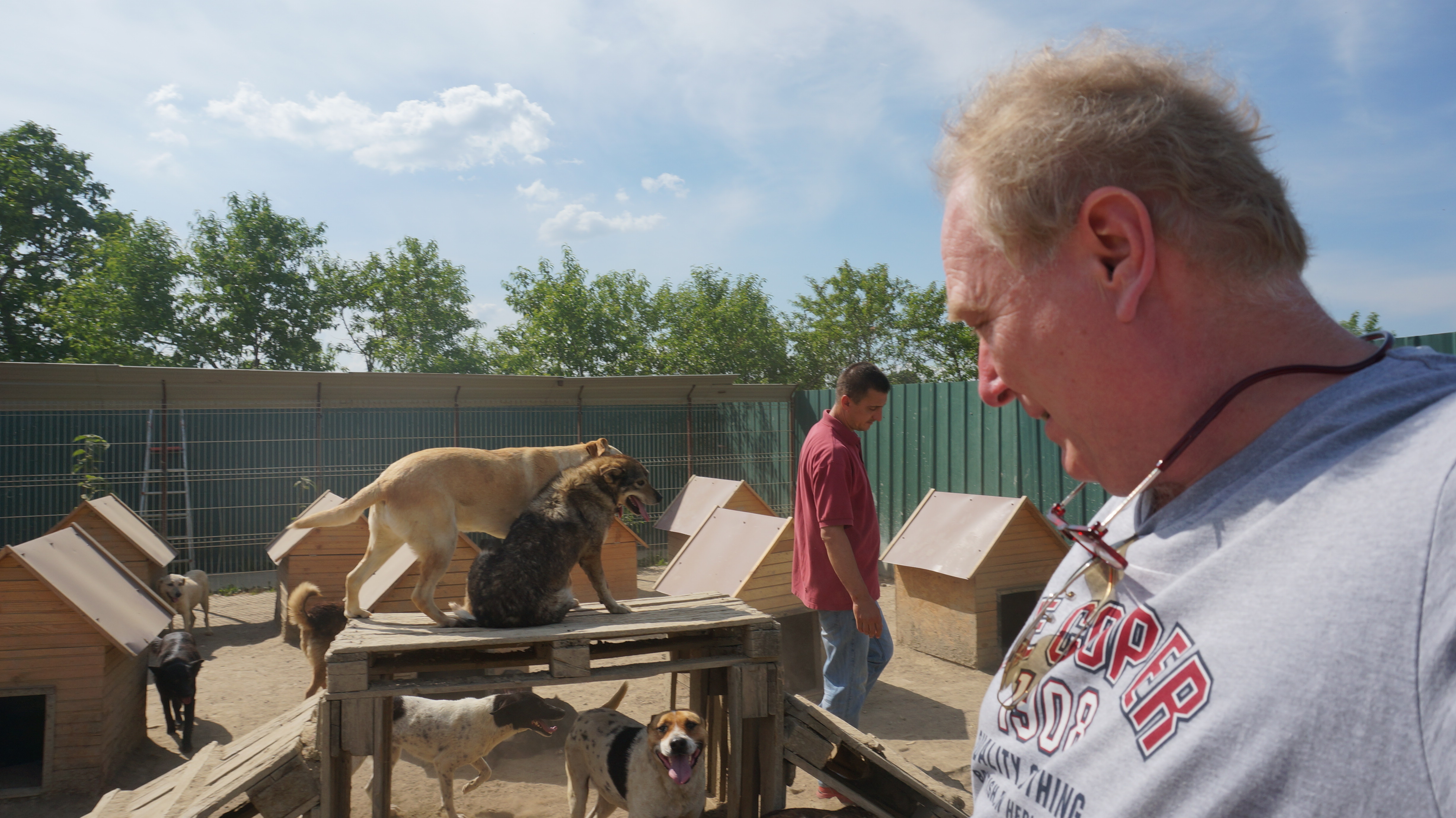 Tiere in Serbien, Kroatien und Bosnien